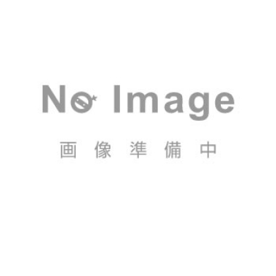 流體工業(yè) RYUTAI  NFLT-R Rc2 流式流量計